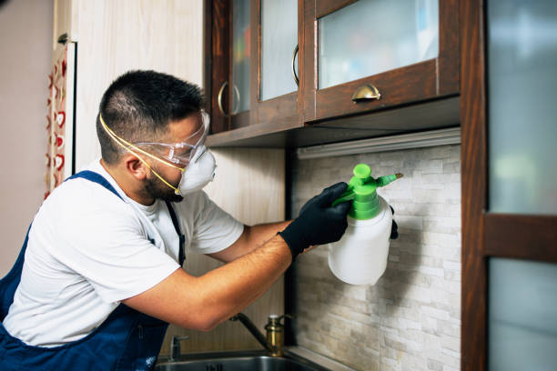 Best Commercial Pest Control Services  in Halfway, MD