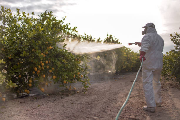 Best Pest Control Near Me  in Halfway, MD