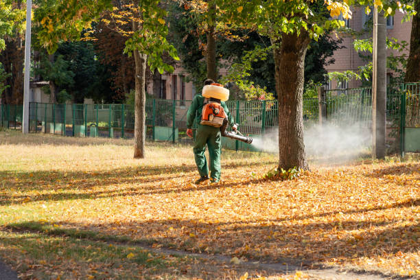 Best Flea Control Services  in Halfway, MD